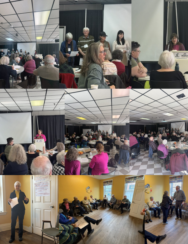 Seniors Raising our Voices – Thank you for attending!